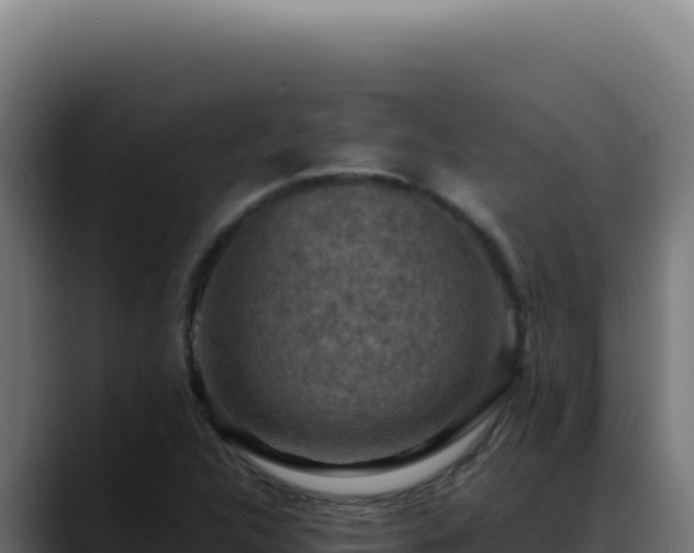 X0000088401312200705291420