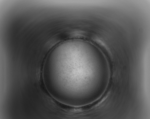 X0000088401313200705291421