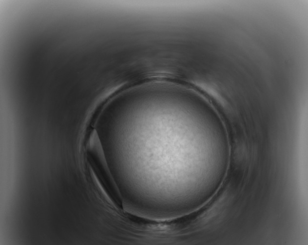 X0000088401317200705291421