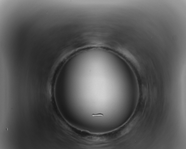 X0000088401318200705291421