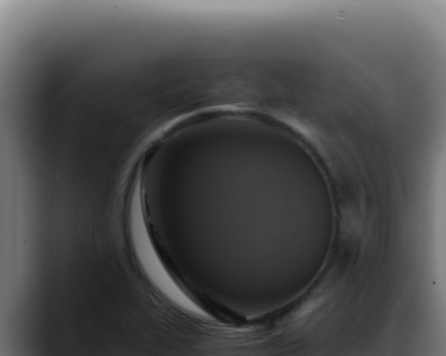 X0000088401319200705291421