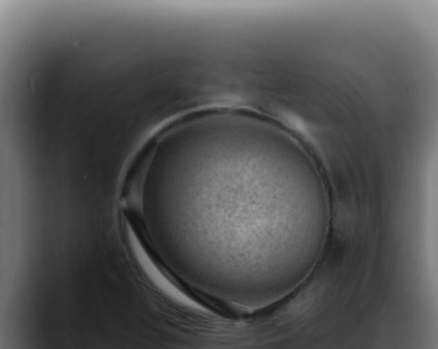 X0000088401320200705291421