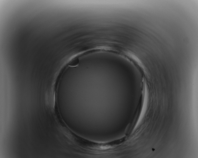 X0000088401323200705291421