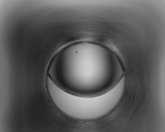 X0000088401324200705291421