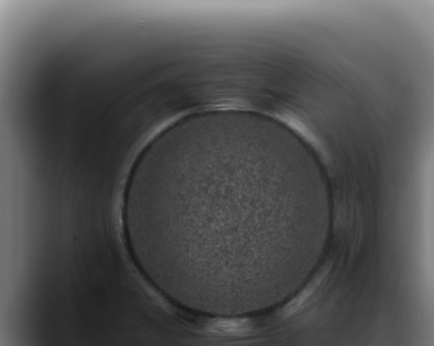 X0000088401325200705291421