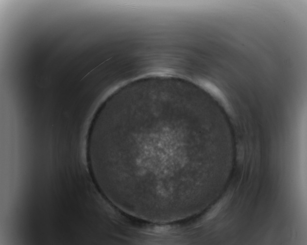 X0000088401326200705291421