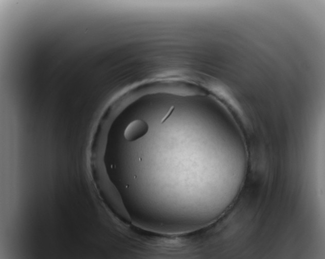 X0000088401328200705291421