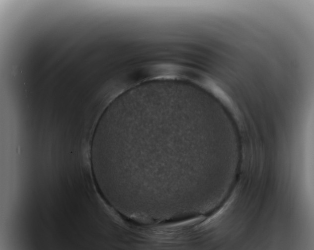 X0000088401329200705291421