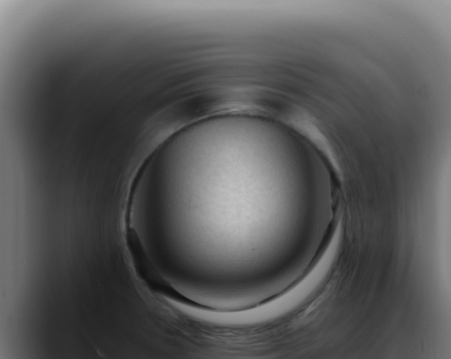 X0000088401330200705291421