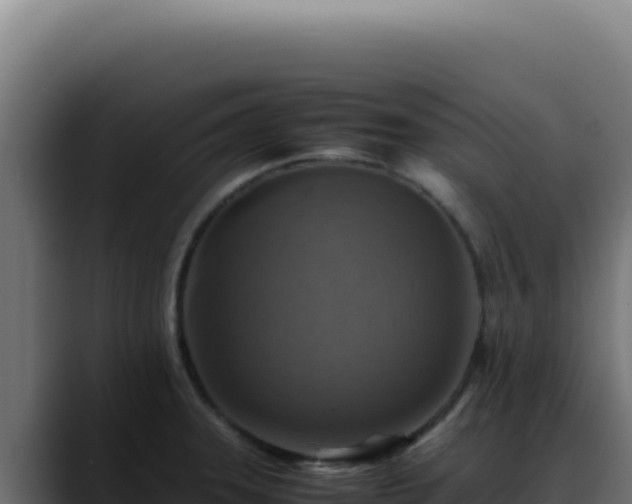 X0000088401331200705291421