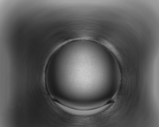 X0000088401332200705291421