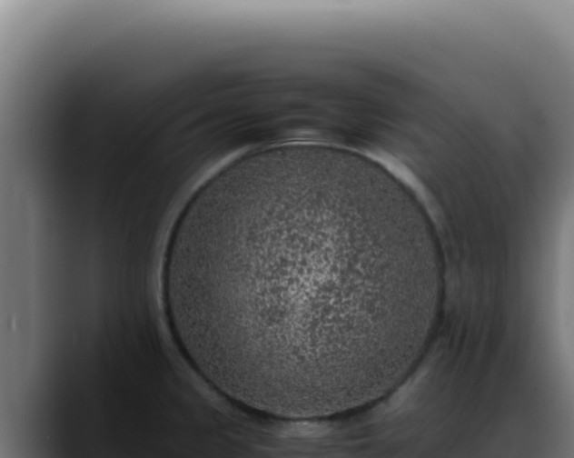 X0000088401333200705291421