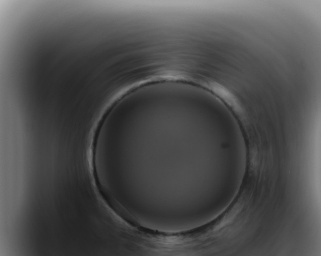 X0000088401334200705291421