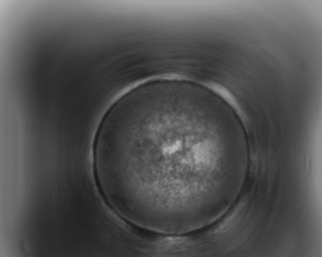 X0000088401335200705291421