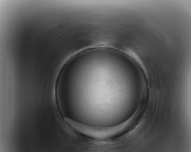 X0000088401336200705291421