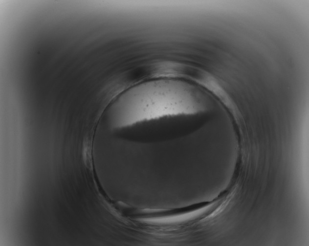 X0000088401337200705291421