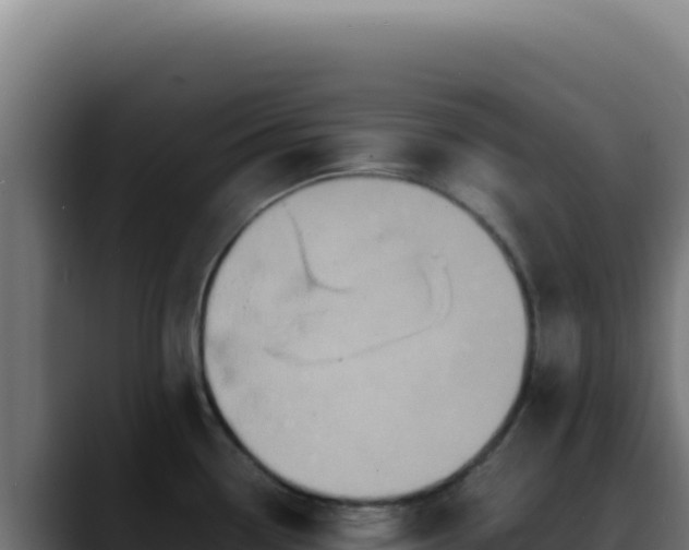 X0000088401338200705291421