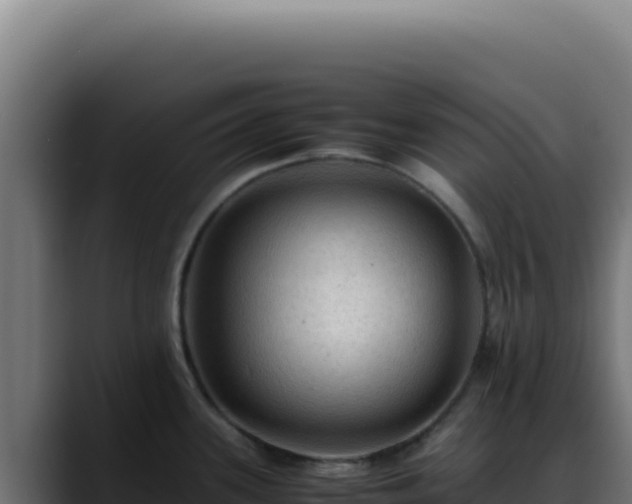 X0000088401339200705291421