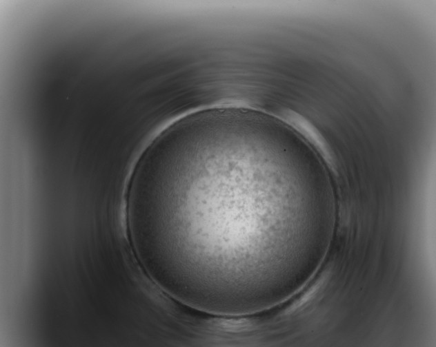 X0000088401340200705291421