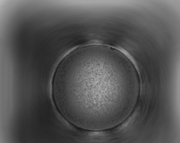 X0000088401341200705291421