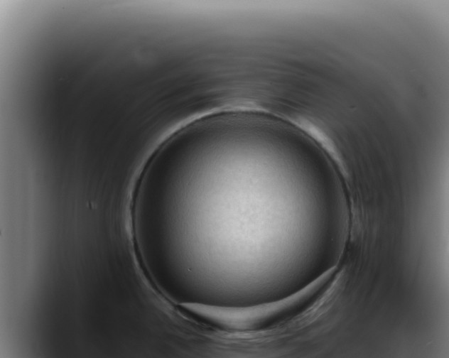 X0000088401342200705291421