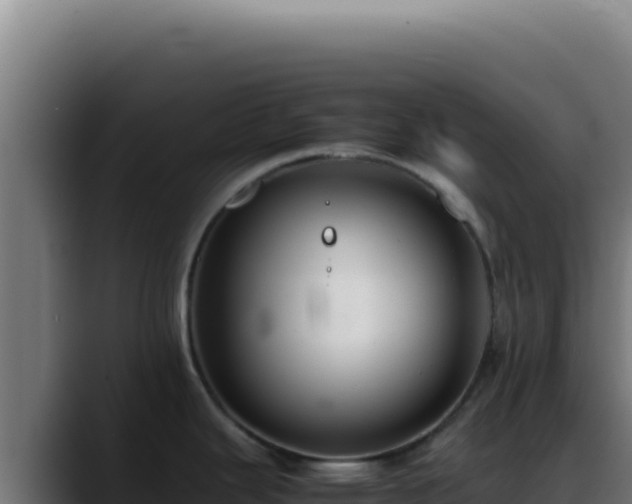 X0000088401343200705291421