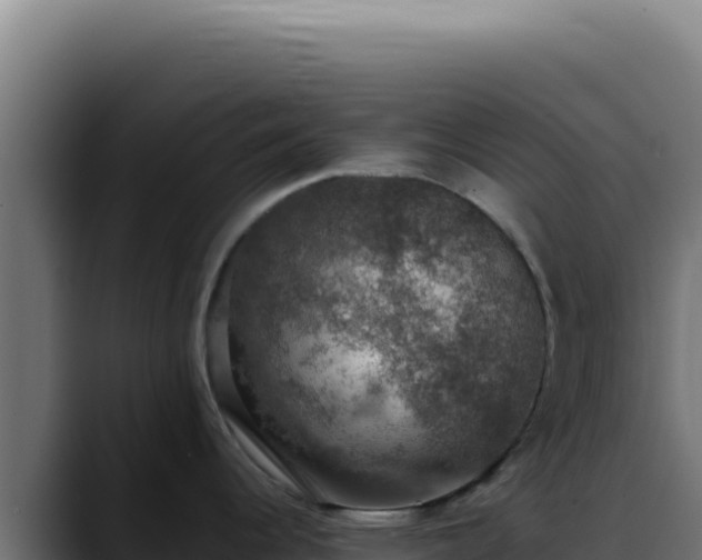 X0000088401344200705291421