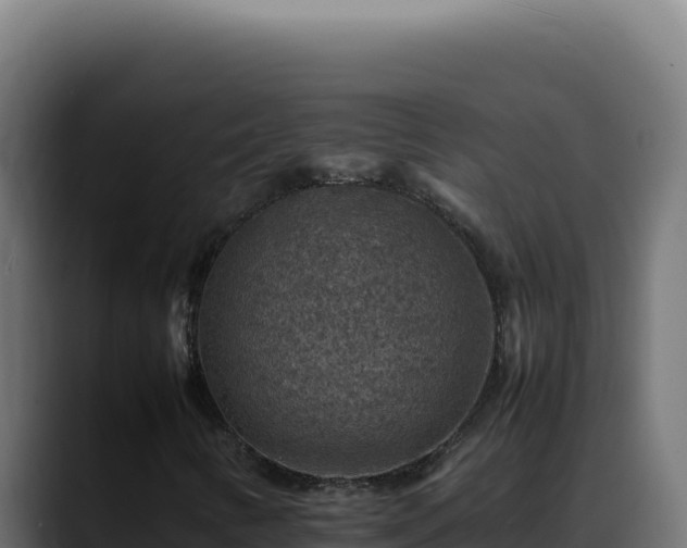 X0000088401346200705291420