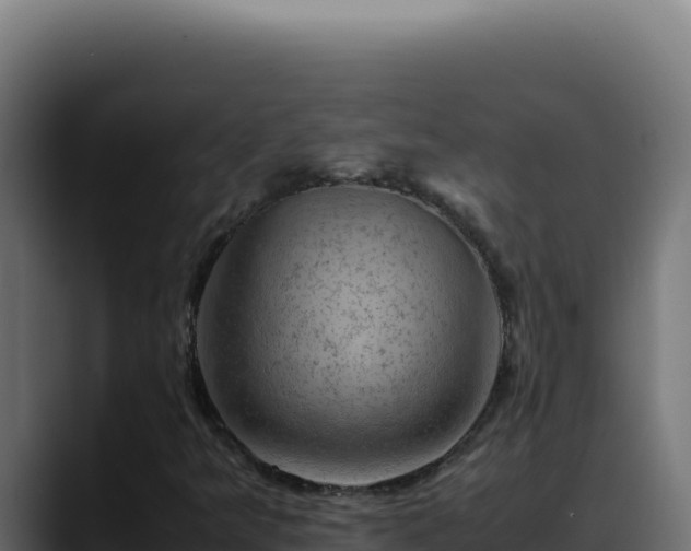 X0000088401349200705291420