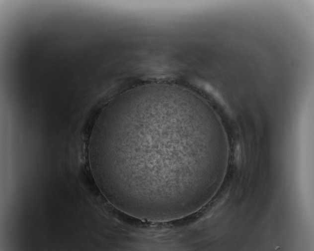 X0000088401350200705291420