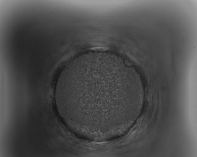 X0000088401351200705291420