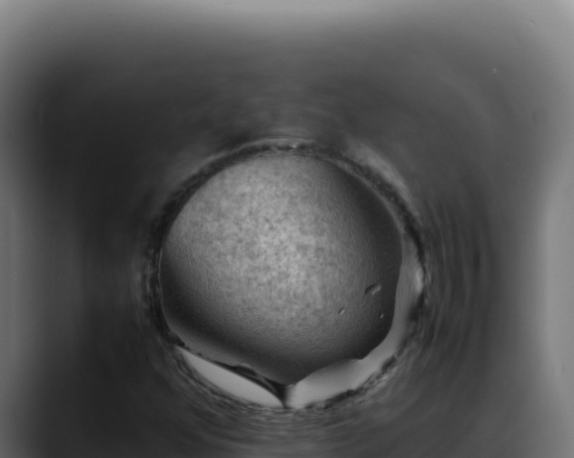 X0000088401352200705291420