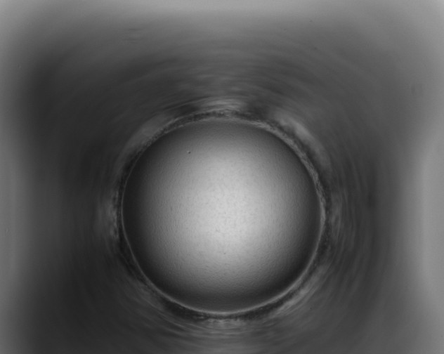 X0000088401354200705291420