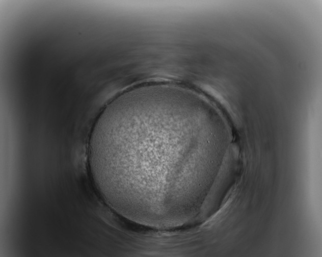 X0000088401355200705291420