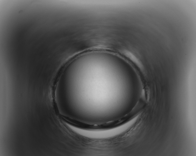 X0000088401356200705291420