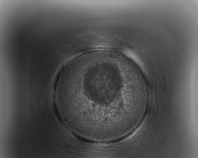 X0000088401357200705291420