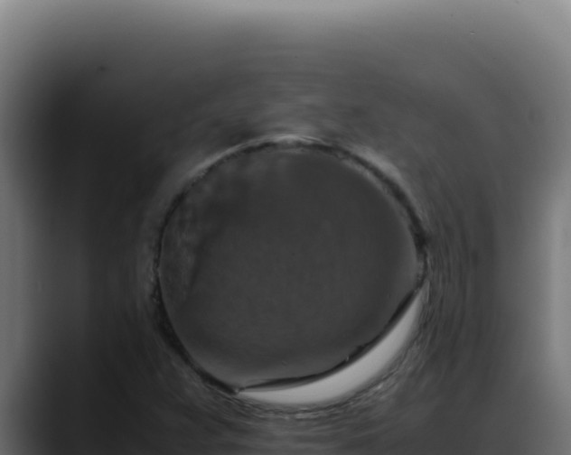 X0000088401359200705291420