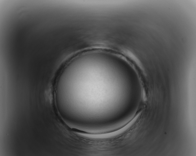 X0000088401360200705291420