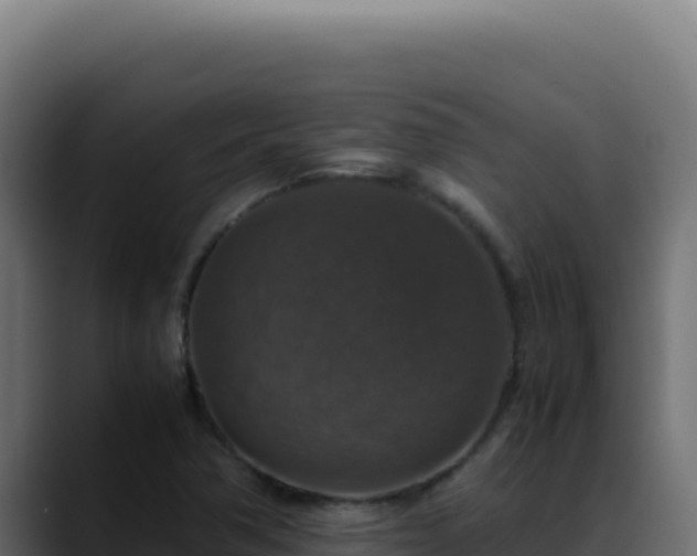 X0000088401362200705291420