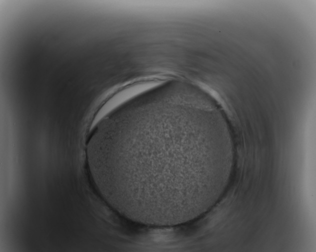 X0000088401363200705291420