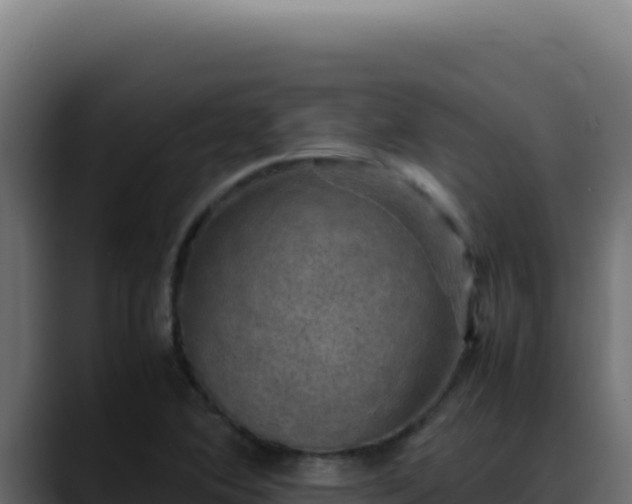 X0000088401364200705291420