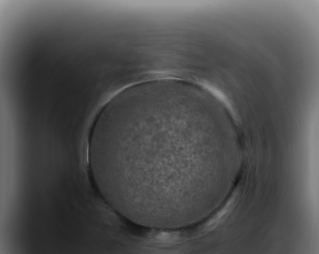 X0000088401365200705291420