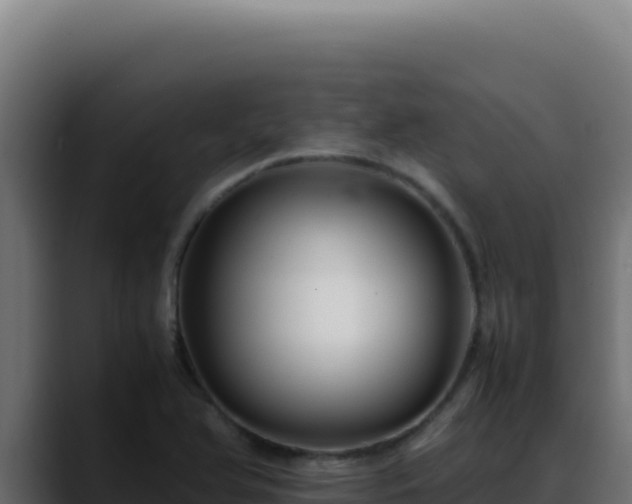 X0000088401366200705291420