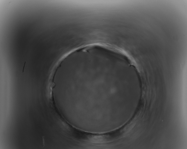 X0000088401367200705291420