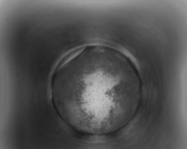 X0000088401368200705291420