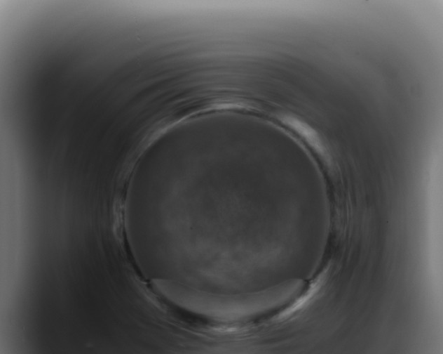 X0000088401369200705291420