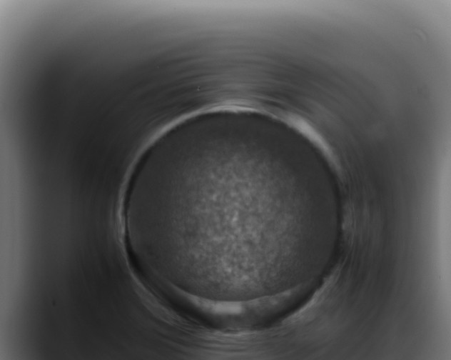 X0000088401372200705291420