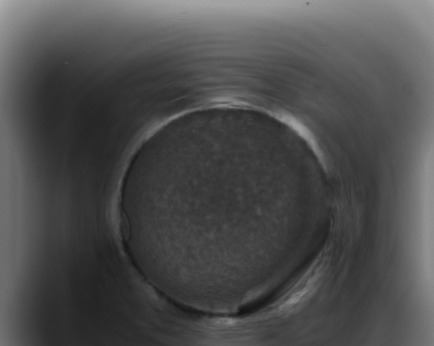 X0000088401373200705291420