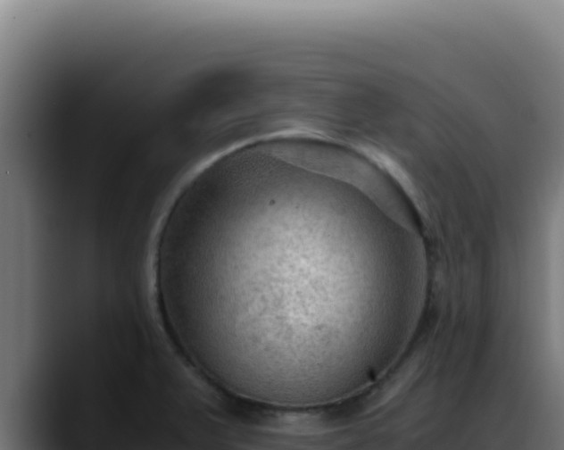 X0000088401375200705291420