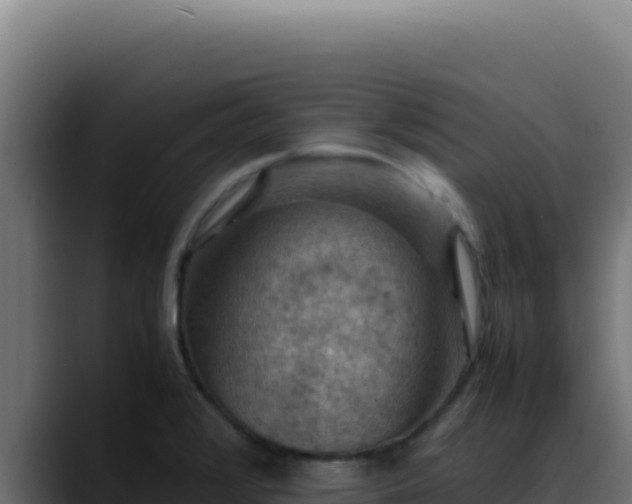 X0000088401376200705291420